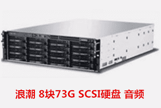 浪潮 8块73G SCSI硬盘 音频