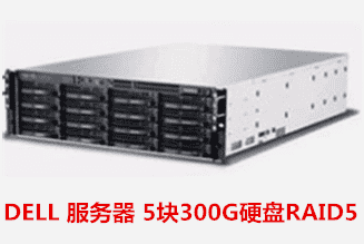 DELL 服务器 5块300G硬盘RAID5