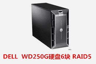  DELL  WD250G硬盘6块 RAID5 