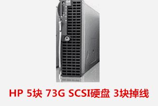 HP 5块 73G SCSI硬盘 3块掉线 