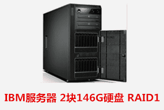 IBM服务器 2块146G硬盘 RAID1