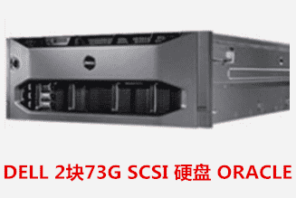  DELL 2块73G SCSI 硬盘 ORACLE