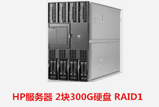 HP 服务器 2块300G硬盘 RAID1