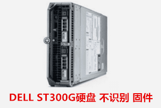 DELL ST300G硬盘