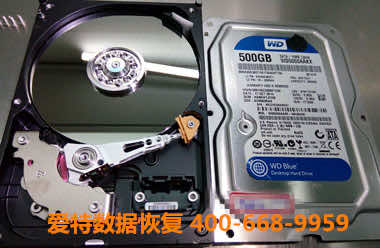 C9E3F658FFE8987054B049CEBC221BD9_副本.jpg