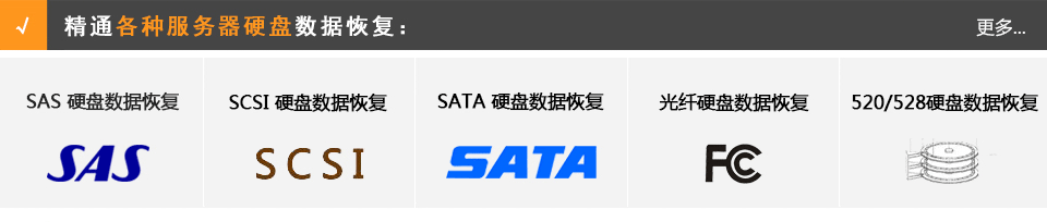 SAS服务器硬盘恢复，SCSI服务器硬盘恢复，FC服务器硬盘恢复