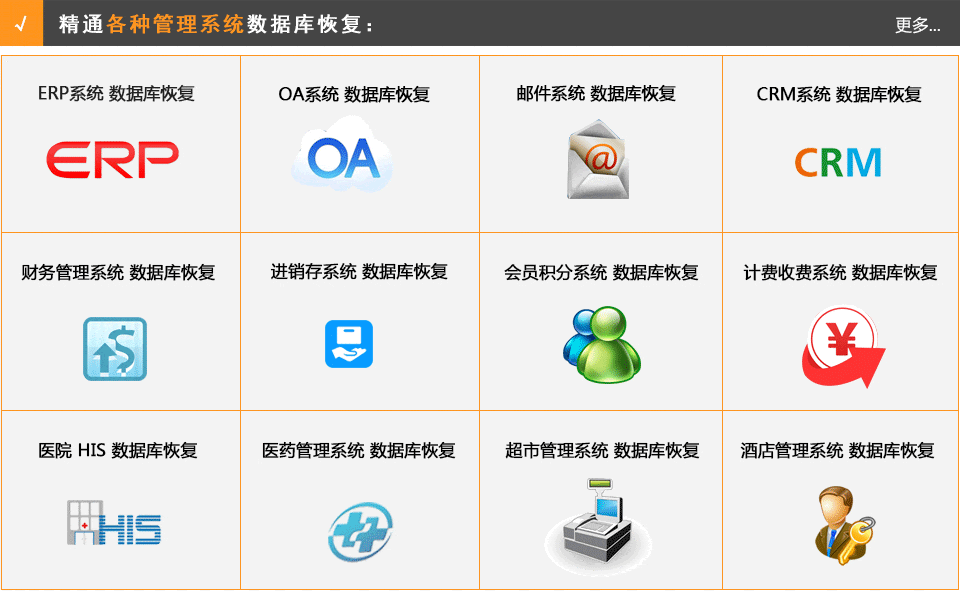 ERP数据库恢复，OA数据库恢复，会员系统数据库恢复，医院HIS数据库恢复，POS系统数据库恢复
