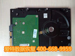 778450690664615691_副本.jpg