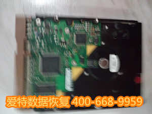 484067203950925415_副本.jpg