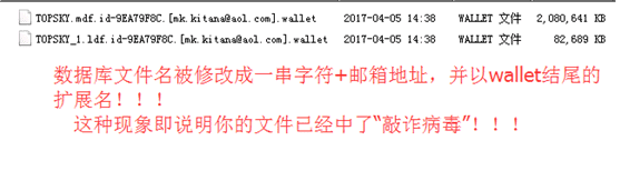 钱包病毒比特币勒索软件解密SQL数据库修复案例