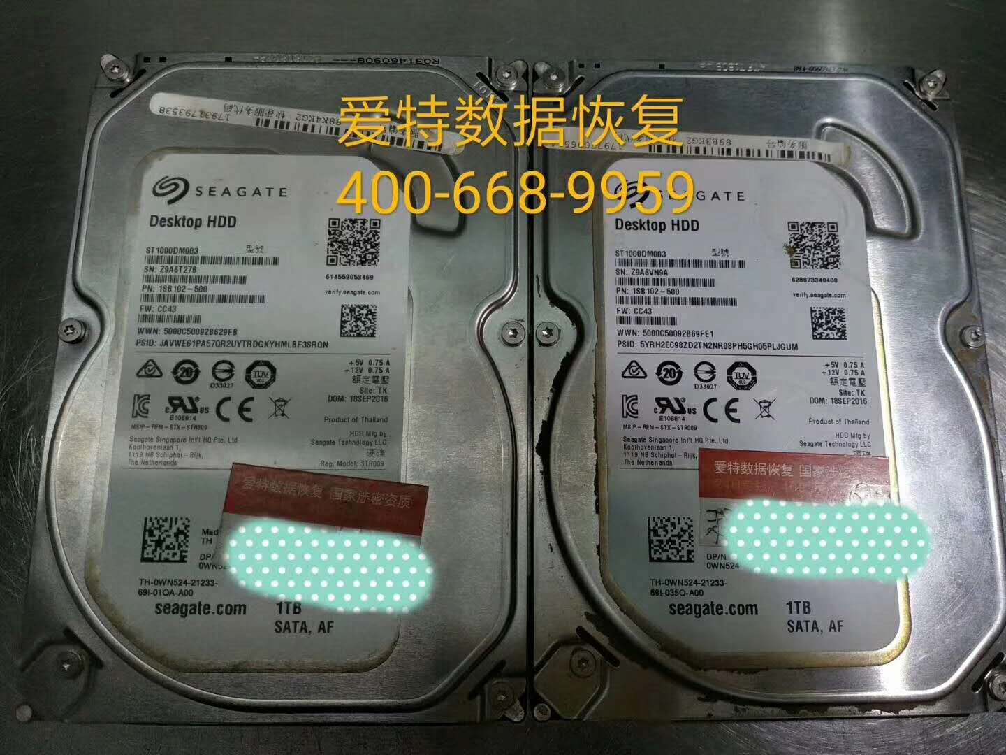 移动硬盘数据恢复