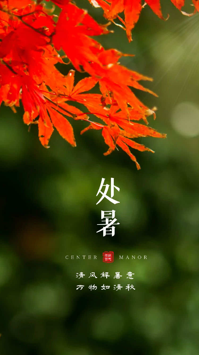 今日处暑