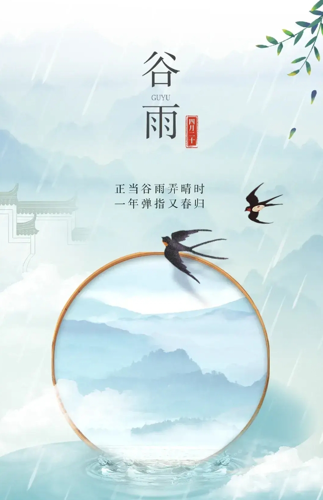 今日谷雨