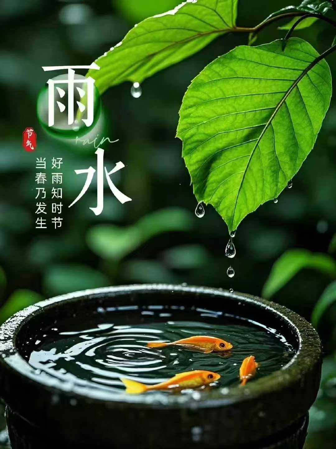 今日雨水