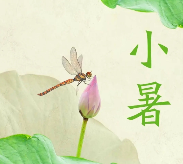 每年公历7月7日至8日，为小暑节气，夏季的第五个节气，小暑的到来，表示季夏时节的正式开始。